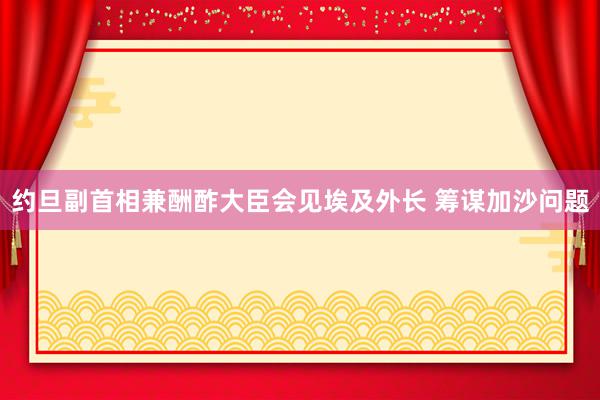 约旦副首相兼酬酢大臣会见埃及外长 筹谋加沙问题