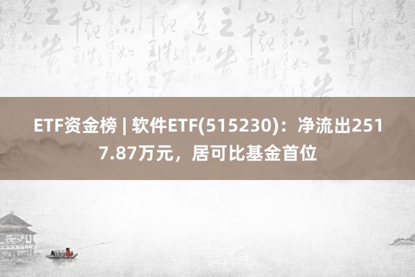 ETF资金榜 | 软件ETF(515230)：净流出2517.87万元，居可比基金首位