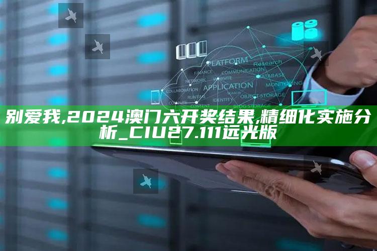 别爱我,2024澳门六开奖结果,精细化实施分析_CIU27.111远光版