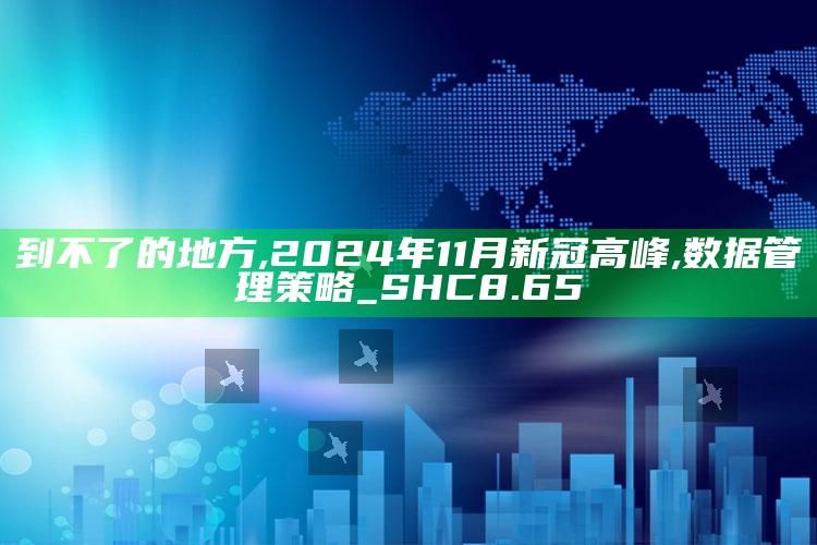 到不了的地方,2024年11月新冠高峰,数据管理策略_SHC8.65