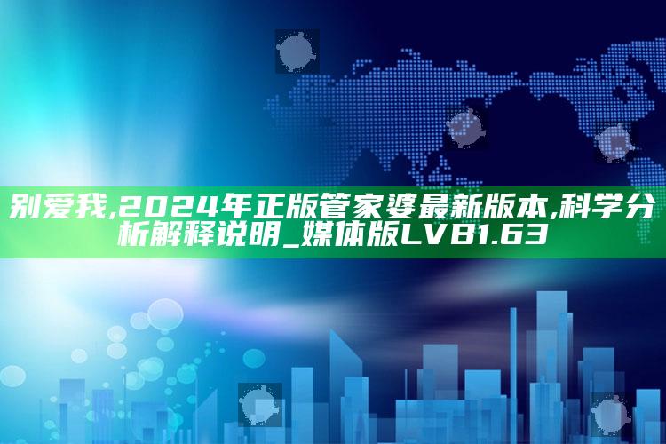 别爱我,2024年正版管家婆最新版本,科学分析解释说明_媒体版LVB1.63