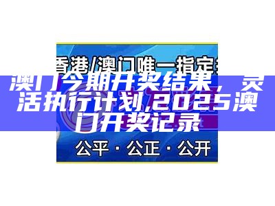 澳门今期开奖结果，灵活执行计划 ,2025澳门开奖记录