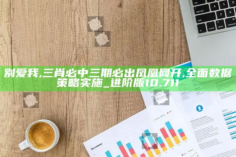 别爱我,三肖必中三期必出凤凰网开,全面数据策略实施_进阶版10.711