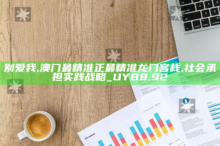 别爱我,澳门最精准正最精准龙门客栈,社会承担实践战略_UYB8.92